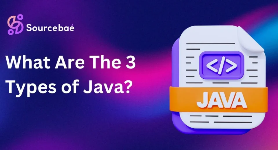 What Are The 3 Types of Java?