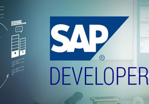 How to Hire SAP Developer – SourceBae