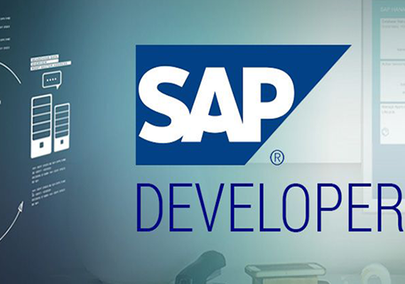 SAP Developers 