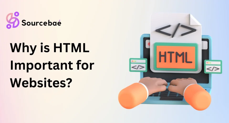 HTML Important for Websites