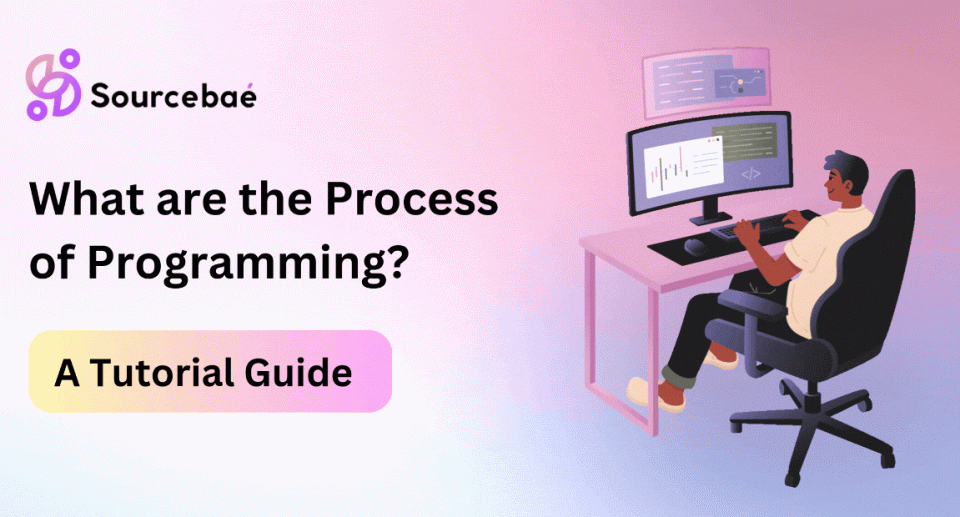 What are the Process of Programming?