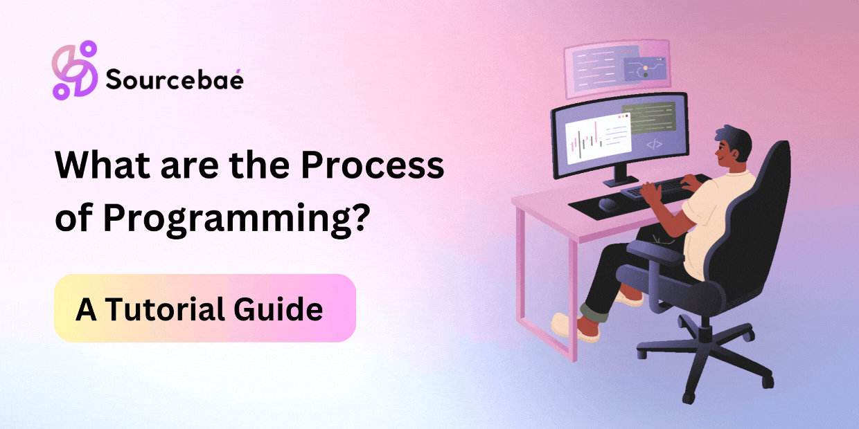 What are the Process of Programming?