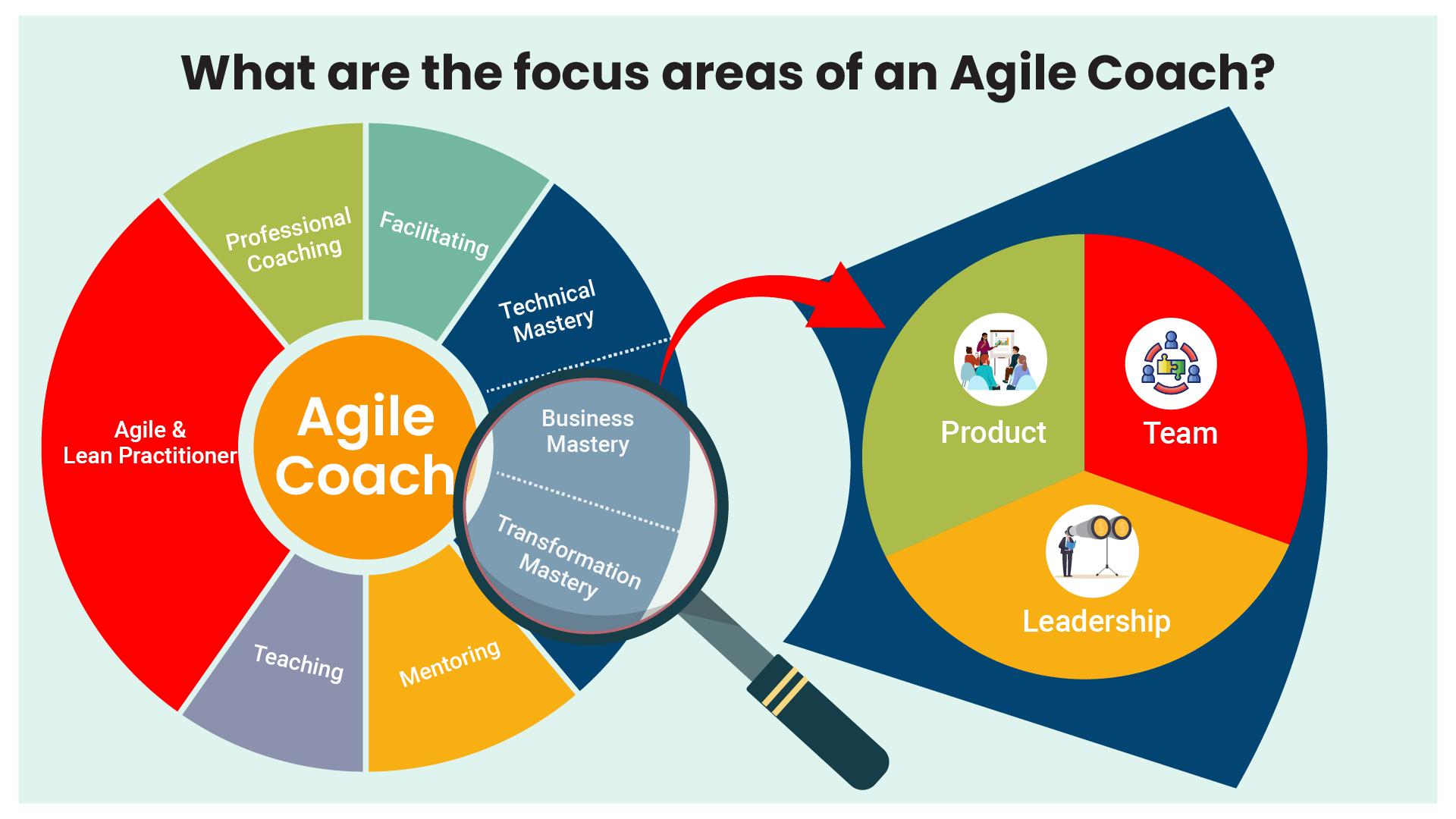 What is the Role of an Agile Coach in Real Life Projects?