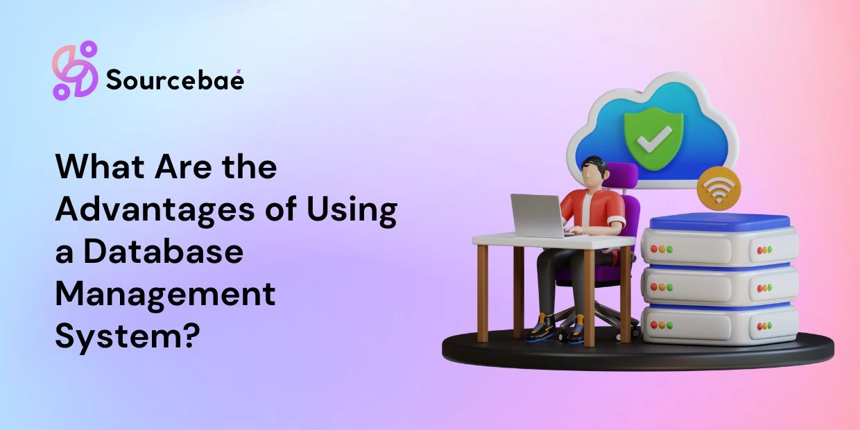 What Are the Advantages of Using a Database Management System?