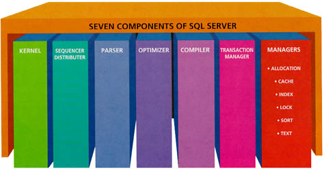 What is SQL, and What are its Key Components?