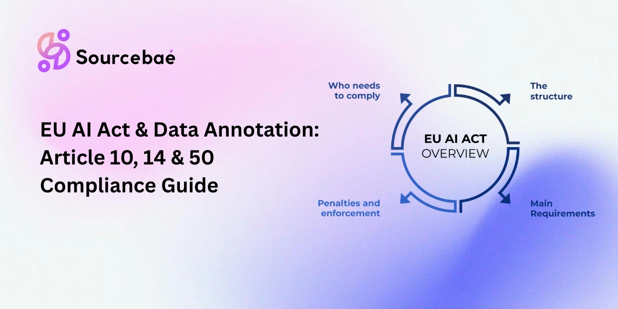 EU AI Act & Data Annotation